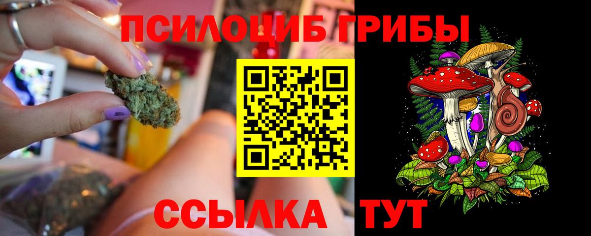 Нижний Тагил  Псилоцибиновые грибы Psilocybine cubensis  Вход с VPN 
